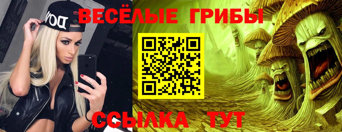 Белгород  Галлюциногенные грибы GOLDEN TEACHER  цены   Псилоцибиновые грибы GOLDEN TEACHER  Вход с VPN 