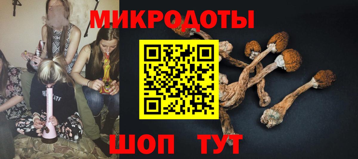 Галлюциногенные грибы Cubensis Белгород